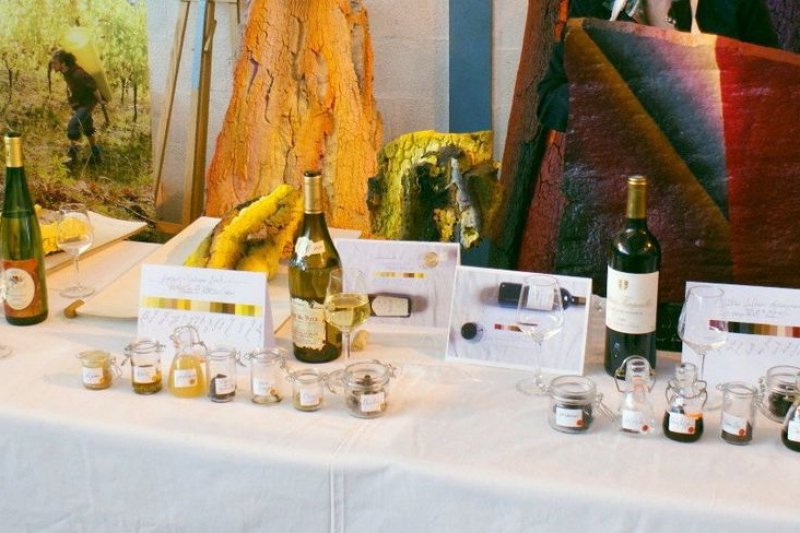 Salon des Vins de Charmes sur Rhône 2013