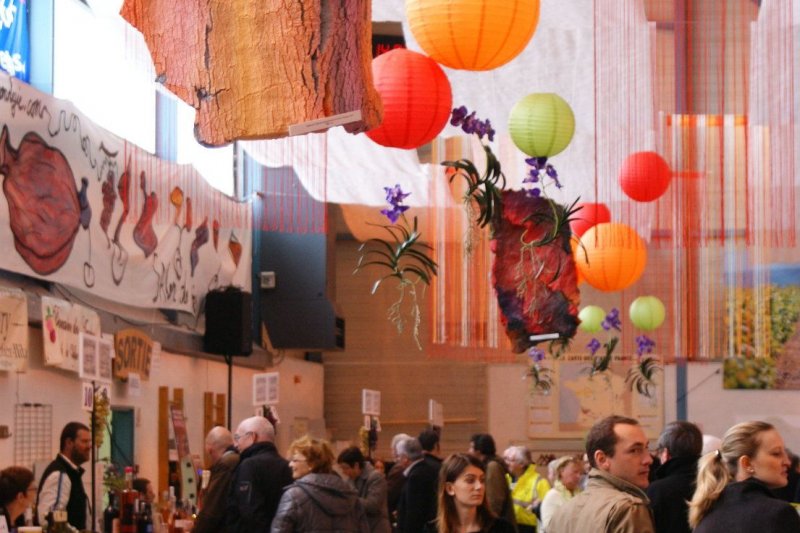 Salon des Vins de Charmes sur Rhône 2013